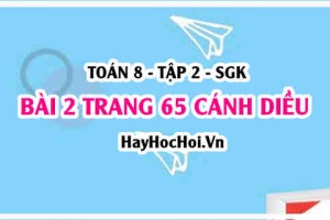Bài 2 trang 65 Toán 8 Tập 2 Cánh Diều